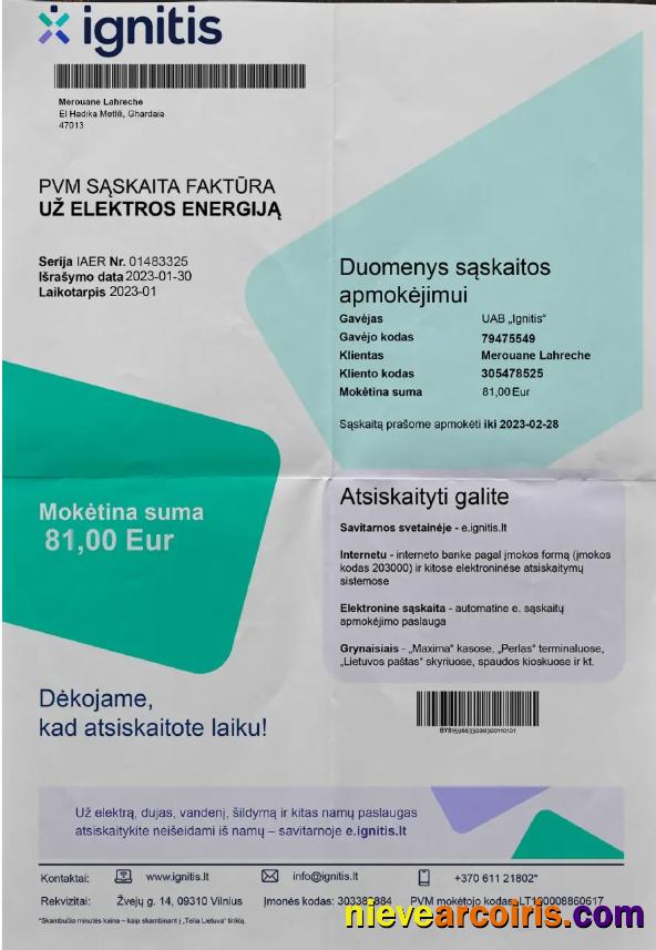 LITVA IGNITIS utility bill